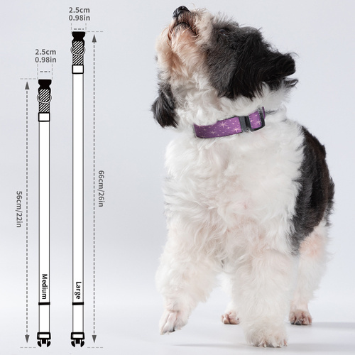 Zestaw 4 obroży dla psa 56 x 2,5 cm do nadruku