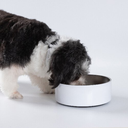 Miska 1250 ml dla psa ze stali nierdzewnej do sublimacji - biała