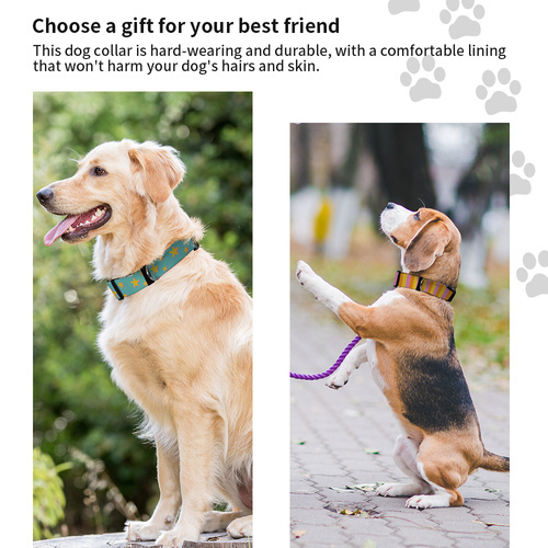 Zestaw 4 obroży dla psa 56 x 2,5 cm do nadruku