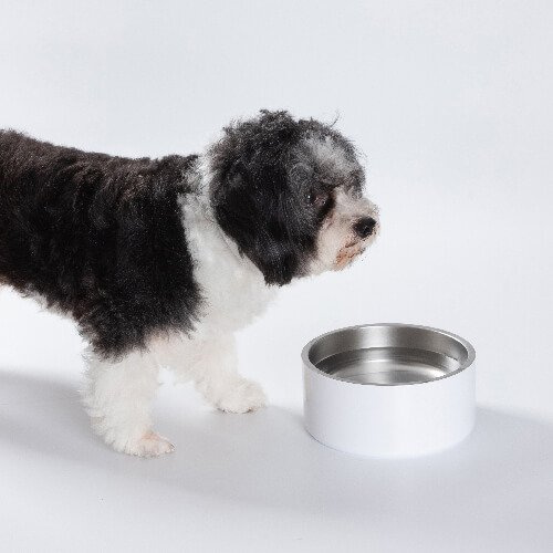 Miska 960 ml dla psa ze stali nierdzewnej do sublimacji - biała